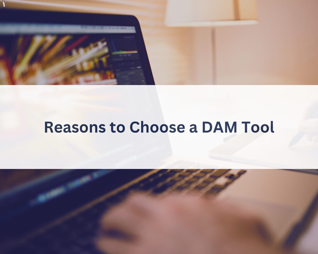 DAM Reasons reasons-to-choose-a-dam