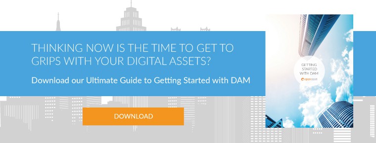 Getting started with DAM download