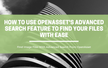How to Use OpenAsset's Advanced Search Feature to Find Your Files With Ease | OpenAsset