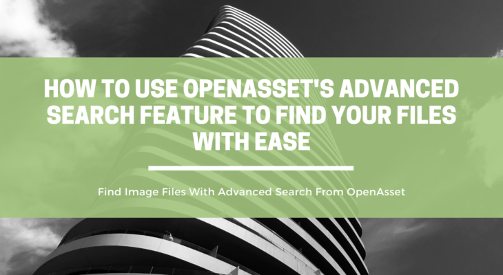 How to Use OpenAsset's Advanced Search Feature to Find Your Files With Ease | OpenAsset