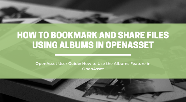 How to Bookmark and Share Files Using Albums in OpenAsset | OpenAsset