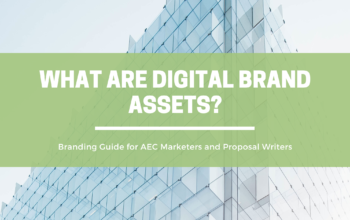 What are Digital Brand Assets | OpenAsset