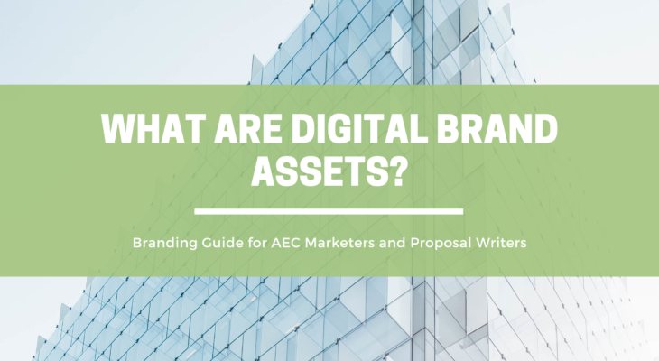What are Digital Brand Assets | OpenAsset