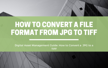 how to convert a jpg to tiff | OpenAsset