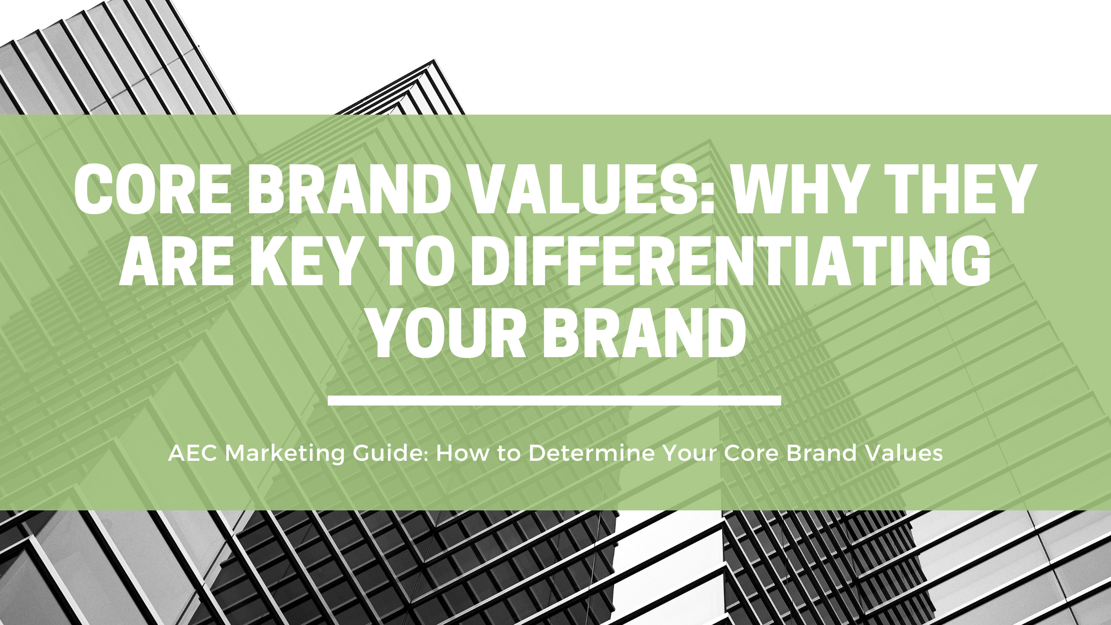 Core Brand Values: Why They Are Key to Differentiating Your Brand