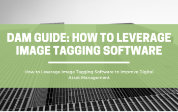 DAM Guide: How to Leverage Image Tagging Software | OpenAsset