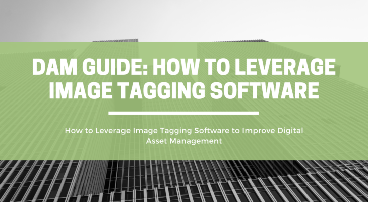 DAM Guide: How to Leverage Image Tagging Software | OpenAsset