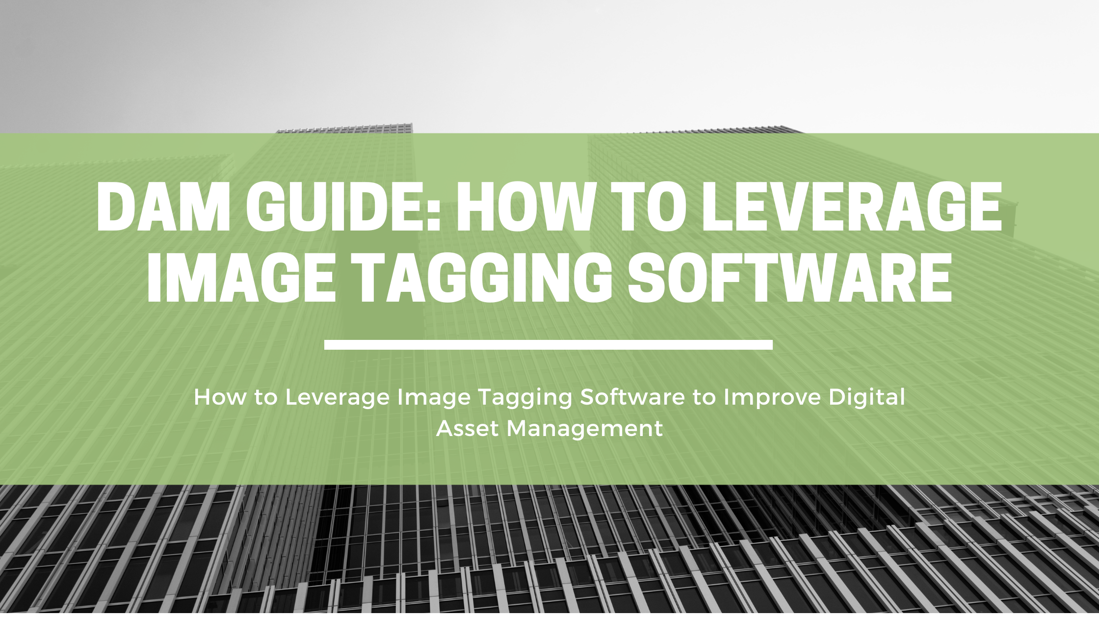 DAM Guide How to Leverage Image Tagging Software OpenAsset