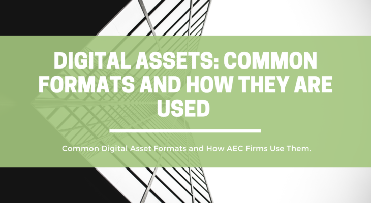 Digital Assets: Common Formats and How They are Used