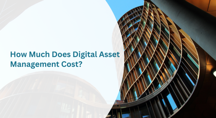 cost of digital asset management
