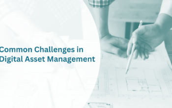 Common Challenges in Digital Asset Management