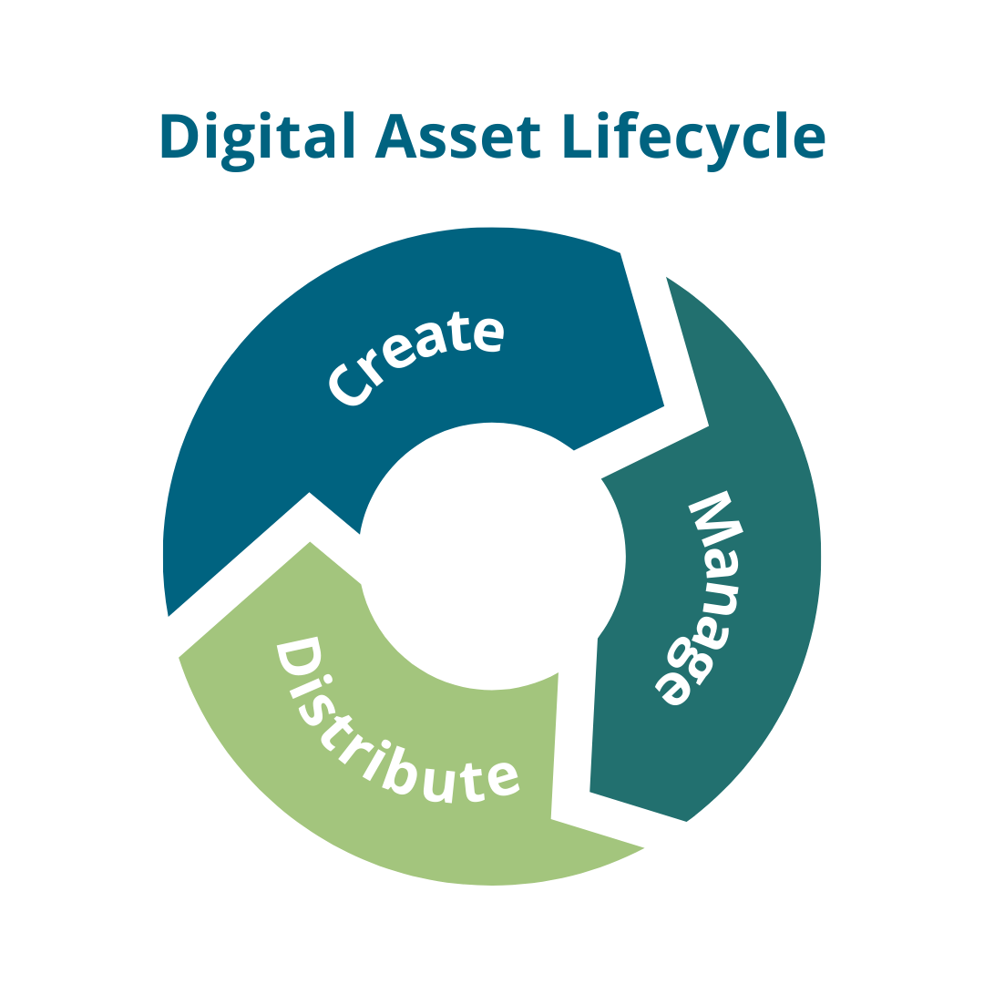 Digital asset lifecycle