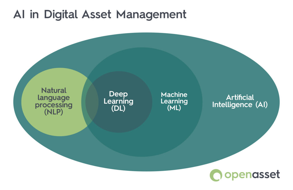AI in digital asset management