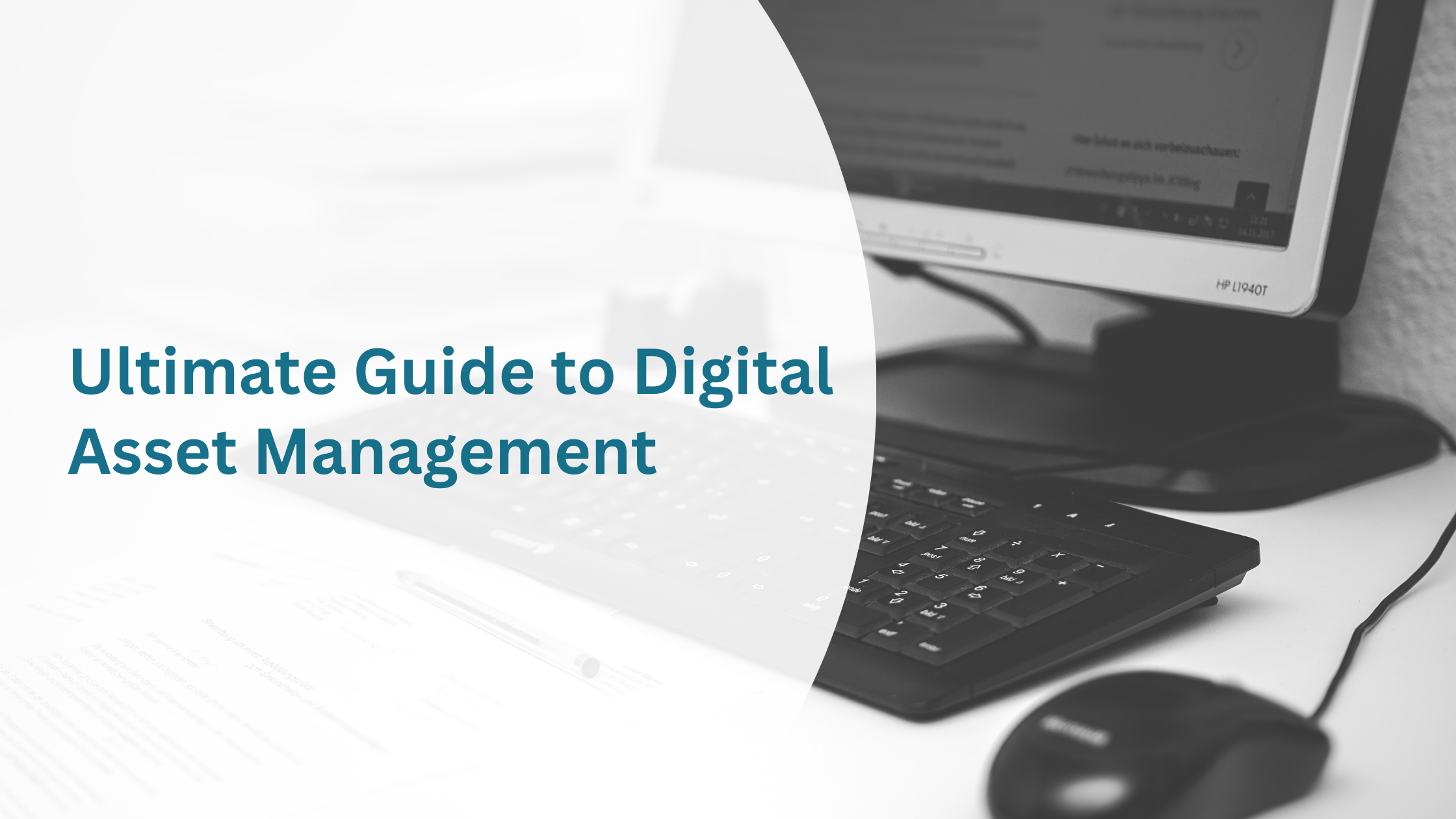 The Ultimate Guide to Digital Asset Management