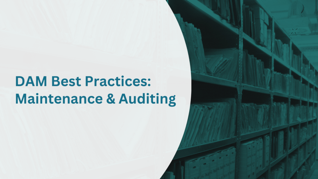 digital asset management maintenance and auditing