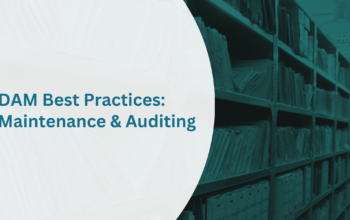 digital asset management maintenance and auditing
