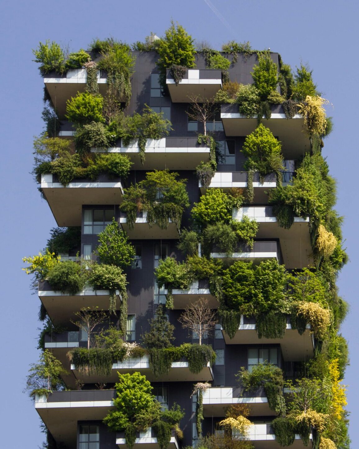 architecture-trends-sustainability-green