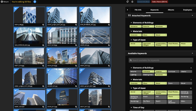 batch-editing-digital asset management best practices