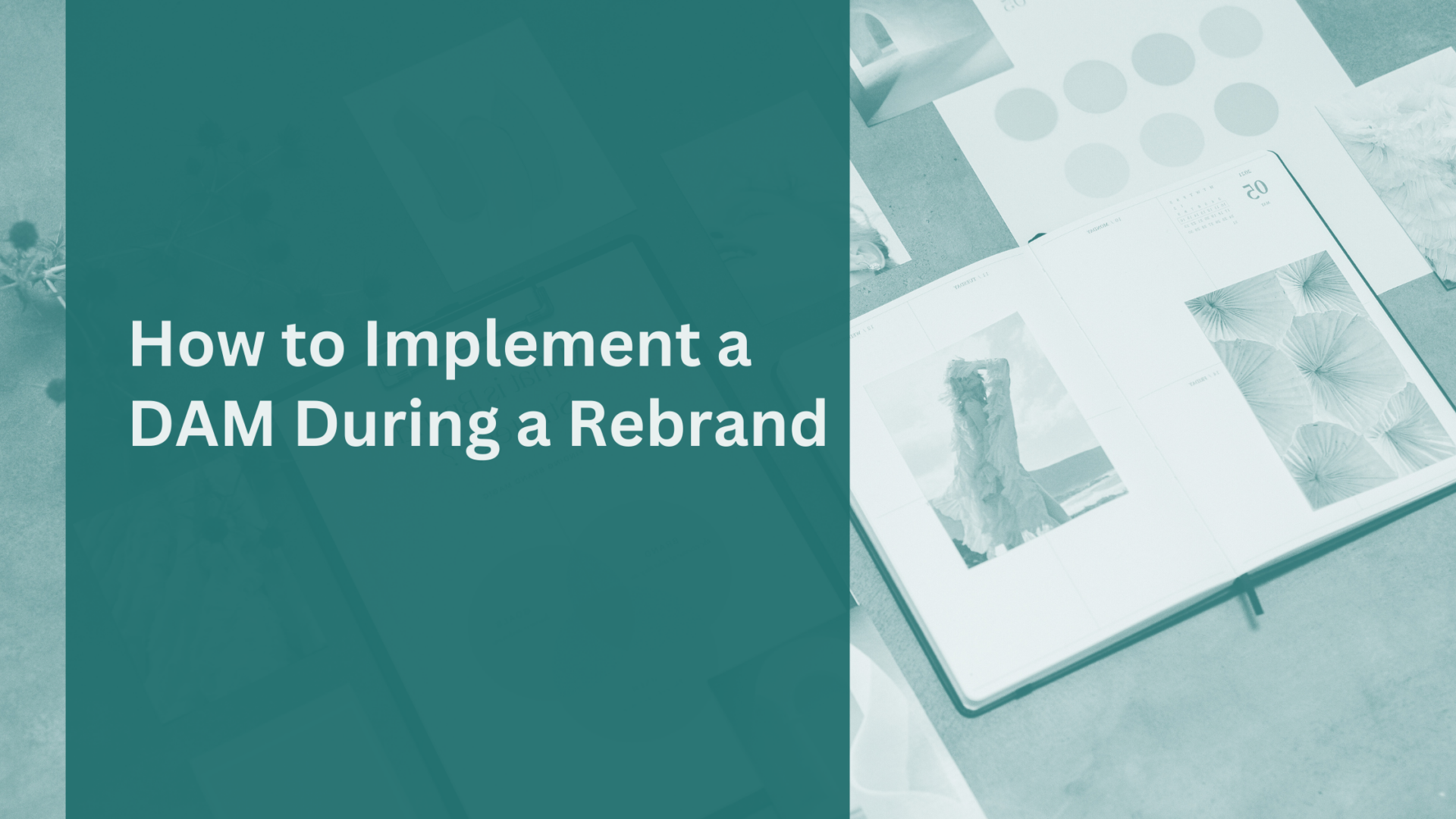 DAM-during-a-Rebrand