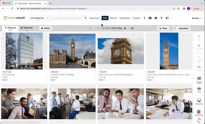 OpenAsset's Advanced Search Feature - gif | OpenAsset