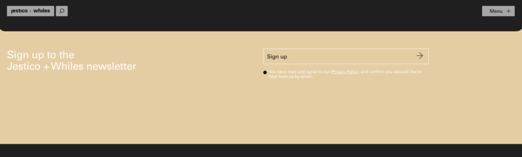 email-newsletter-example