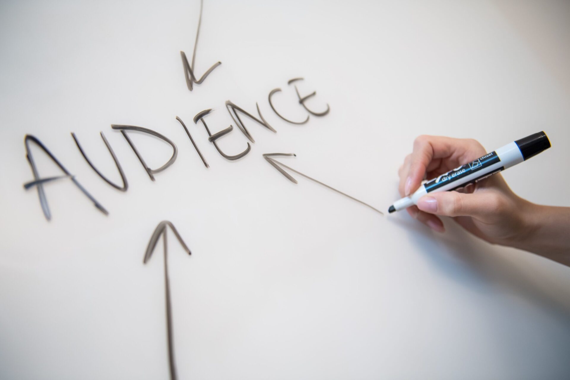 white board with hand drawing three arrows pointing to the word "AUDIENCE" | OpenAsset