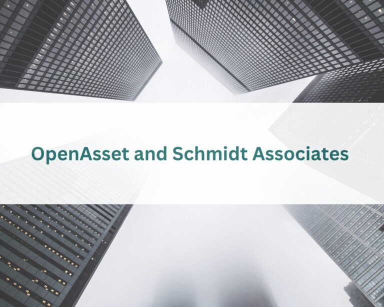 openasset-schmidt-case-study