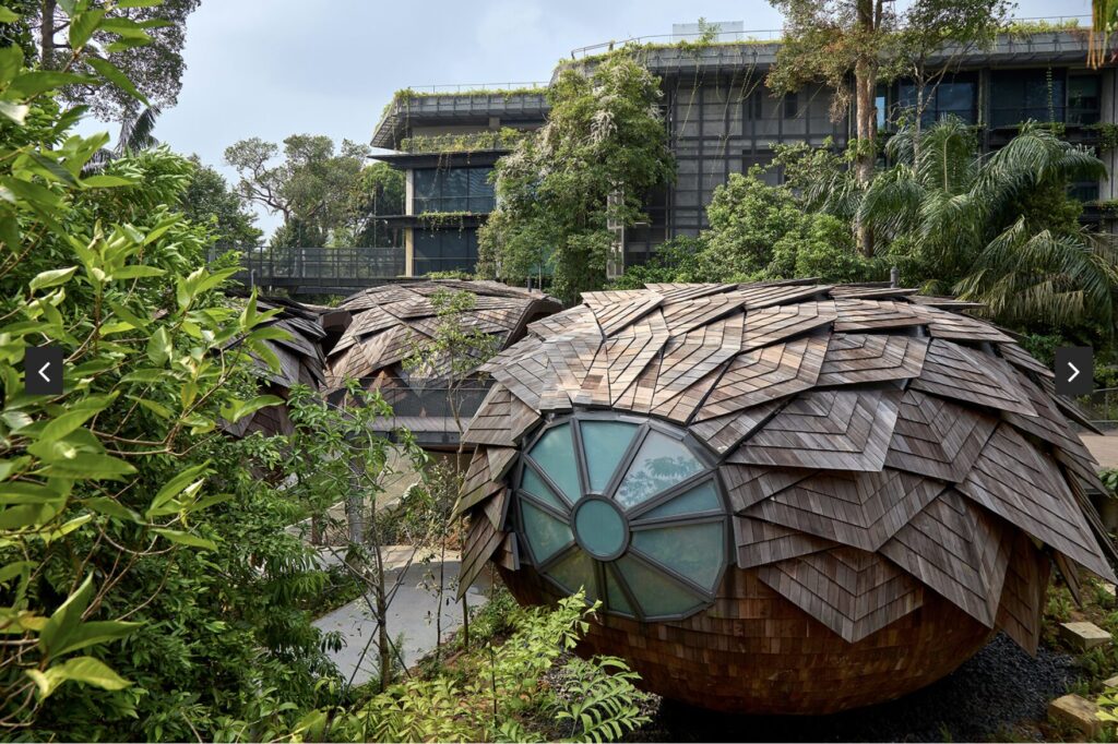 A round wooden structure with shingle-like panels and a circular window sits in lush greenery, with a modern building covered in plants visible in the background.